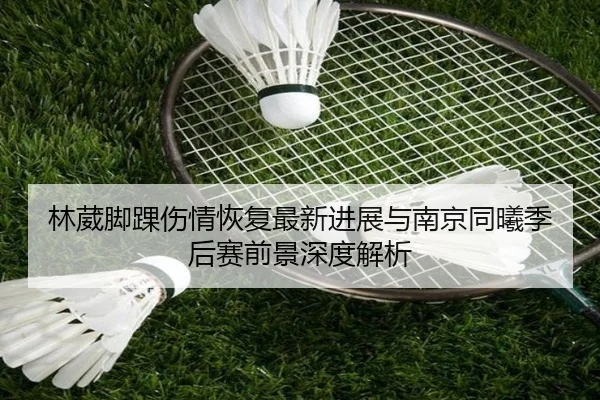 林葳脚踝伤情恢复最新进展与南京同曦季后赛前景深度解析